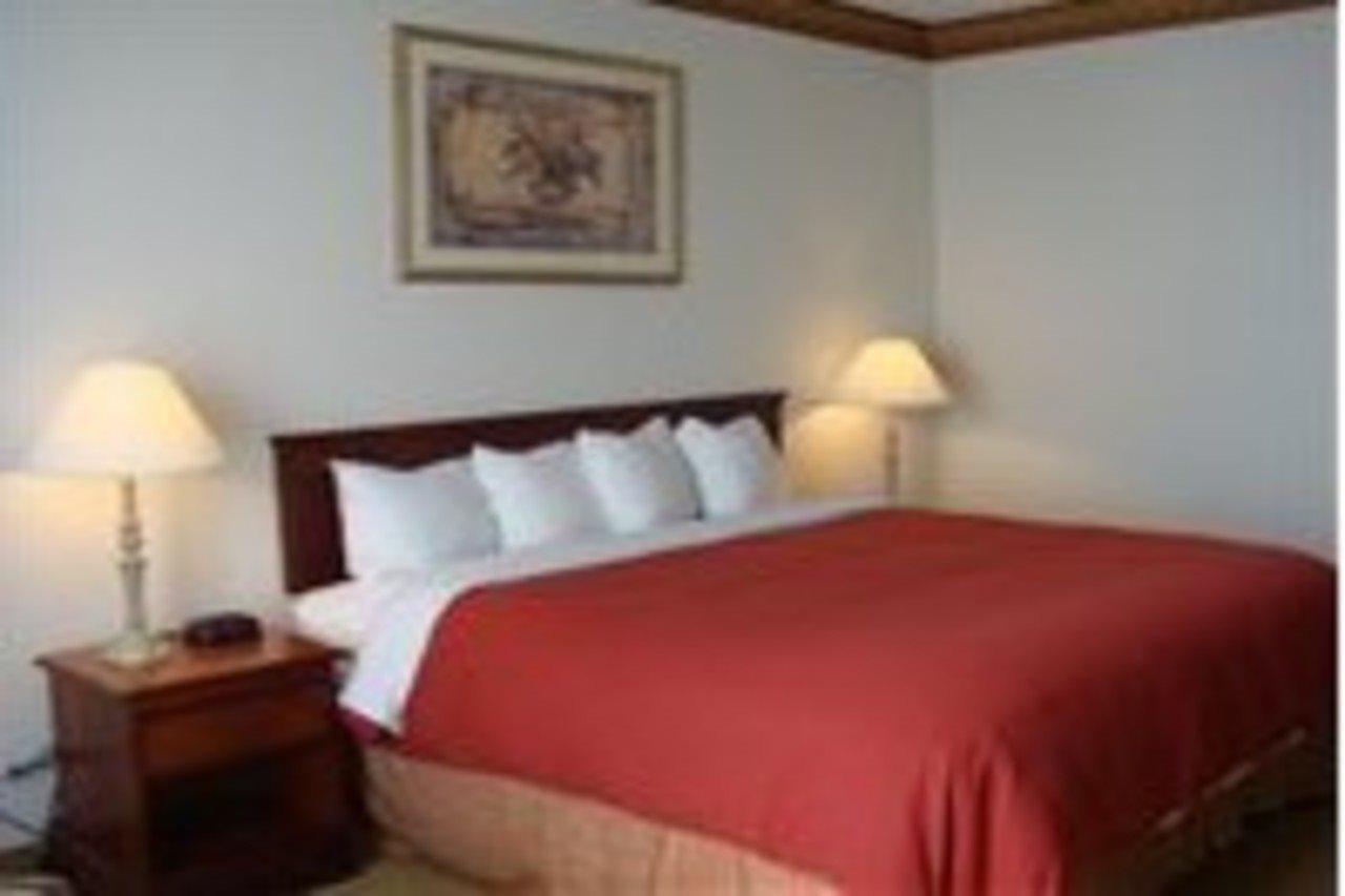 יוסטון Best Western Plus Hobby Airport Inn And Suites חדר תמונה